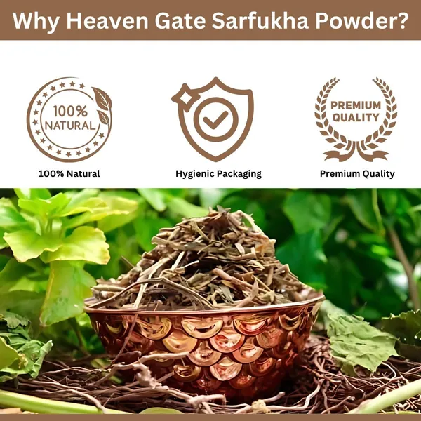 Sharpunkha_Panchang_Powder_Sarphoka_For_Wellness_Tephrosia_Purpurea_Herbal_Supplement_For_Immune_And_Digestive_Support_100_Grams