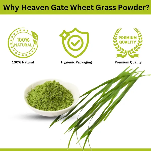 Wheatgrass_Powder_400_Grams_Pure_Wheatgrass_Juice_Powder_For_Detox,_Digestion_And_Immunity_Boost_Wheat_Grass_Supplement_For_Energy,_Skin_Health,_And_Cleanse