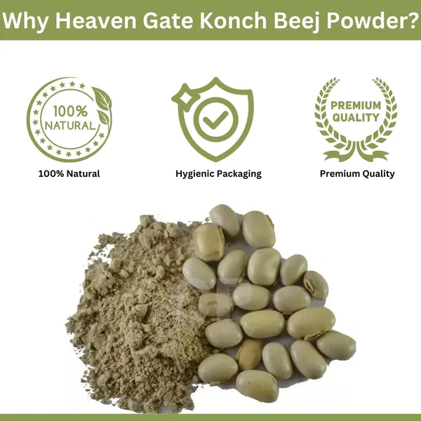 Kaunch_Powder_Pure_Mucuna_Pruriens_Kapikachu,_Nongramso,_No_Added_Preservatives,_Herbal_Supplement_For_Wellness_And_Vitality,_Safed_Koch_Ke_Beej_Powder_For_Mood_And_Energy_400_Grams