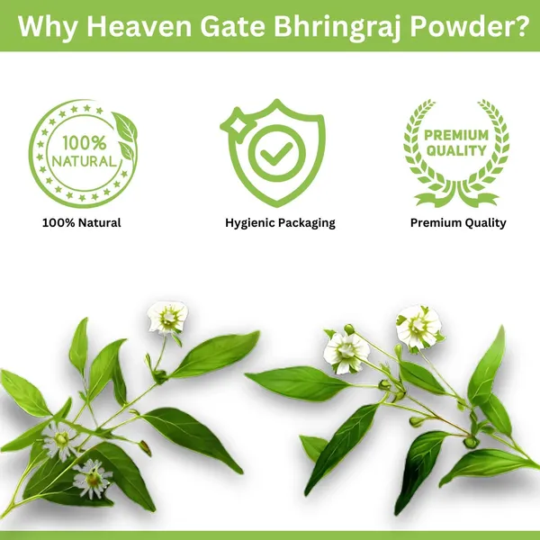 Bhringraj_Powder_100_Grams_Pure_And_Natural_Hair_Care_Superfood_Nourish_Your_Hair_Naturally