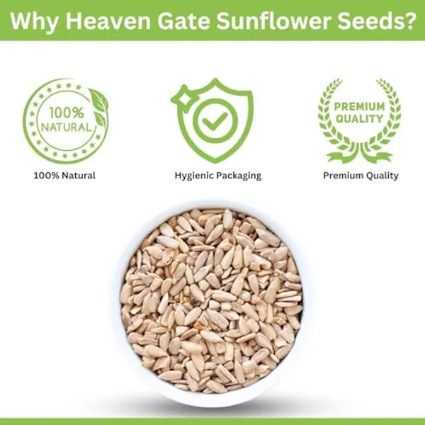 Raw_Sunflower_Seeds_100_Grams_High_In_Vitamin_E,_Dietary_Fibre_And_Protein_Raw_Seeds_For_Eating_Healthy_Snacks_Baking_And_Cooking_Diet_Food_Edible