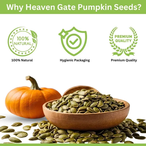 Raw_Pumpkin_Seeds_100_Grams_Rich_In_Protein_Grade_A_Seeds_For_Eating_Healthy_Diet_Snacks_High_In_Antioxidant_And_Dietary_Fibre_Glutenfree_Snacking,_Baking_And_Cooking_Kaddu_Ke_Beej