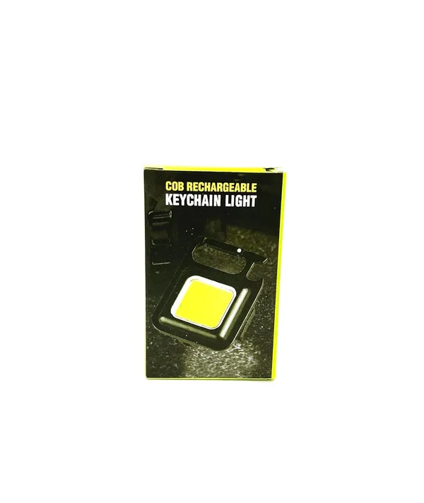 Multicolour_Metal_&_Plastic_Light_Key_Chain_For_Home