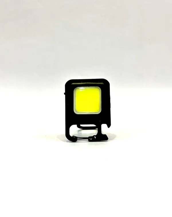 Multicolour_Metal_&_Plastic_Light_Key_Chain_For_Home