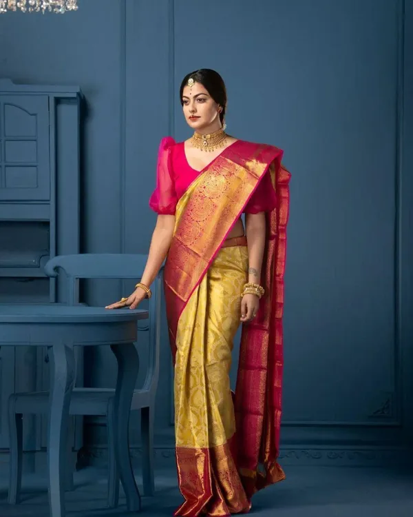 BEAUTIFUL_RICH_PALLU_&_JACQUARD_WORK_ON_ALL_OVER_THE_SAREE
