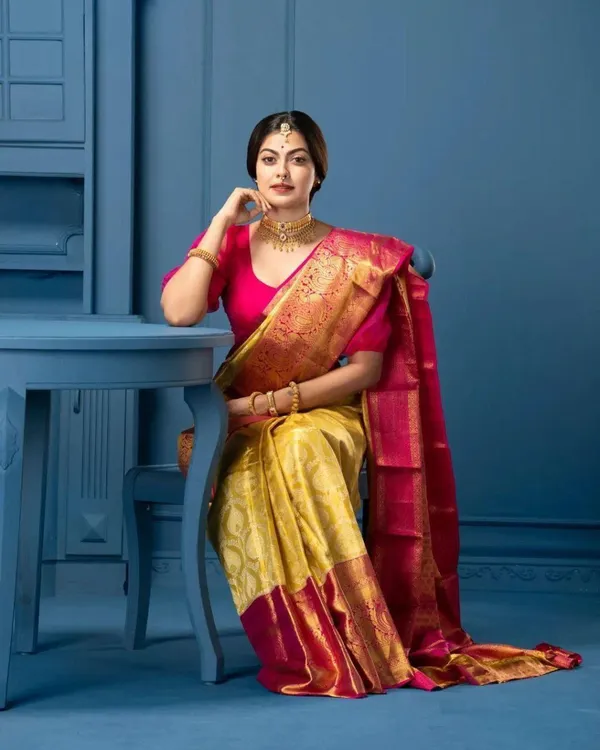BEAUTIFUL_RICH_PALLU_&_JACQUARD_WORK_ON_ALL_OVER_THE_SAREE