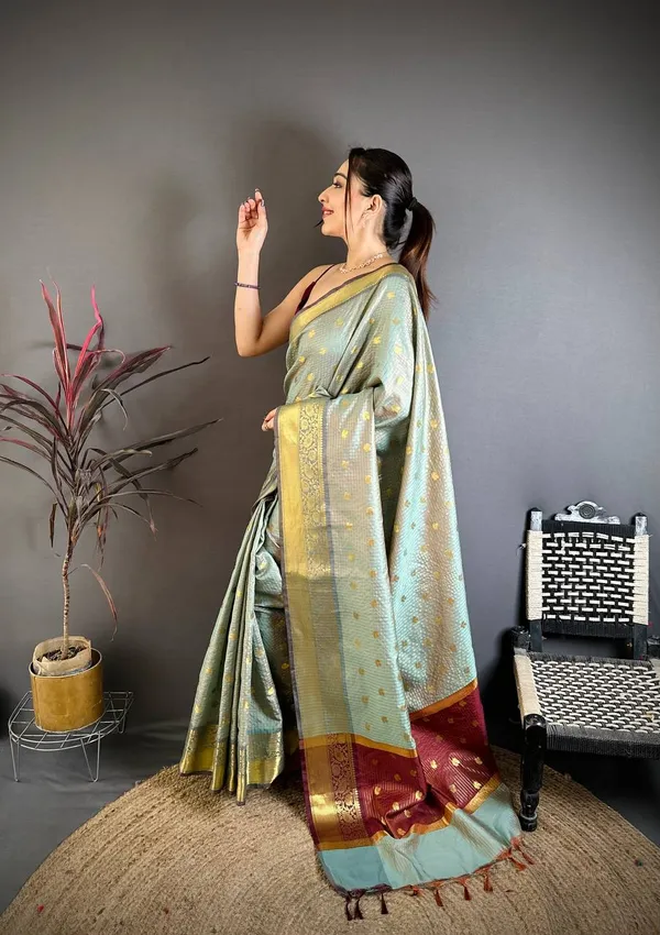 Elegant_Pastel_Pista_Green_Banarasi_Tissue_Silk_Saree_with_Zari_Butti_&_Rich_Border
