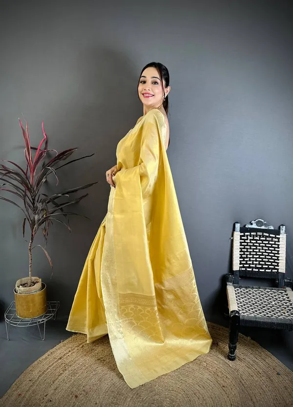 Weaving_Zari_Concept_BANARASI_SOFT_Tissue_SILK_SAREE