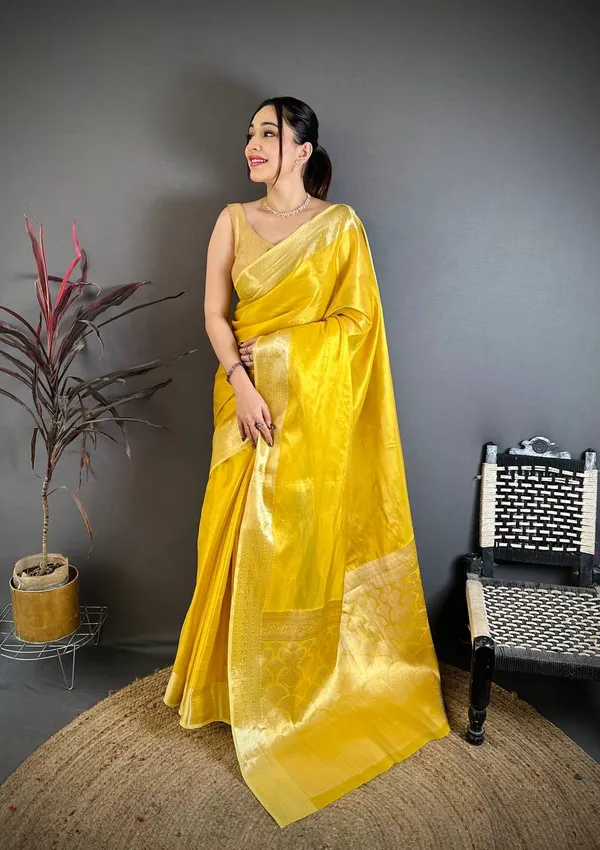 Weaving_Zari_Concept_BANARASI_SOFT_Tissue_SILK_SAREE