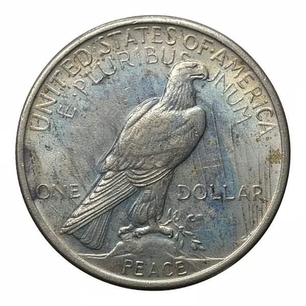 Silver-Plated_1_Dollar_1923_Usa_Old_Collecting_Coin