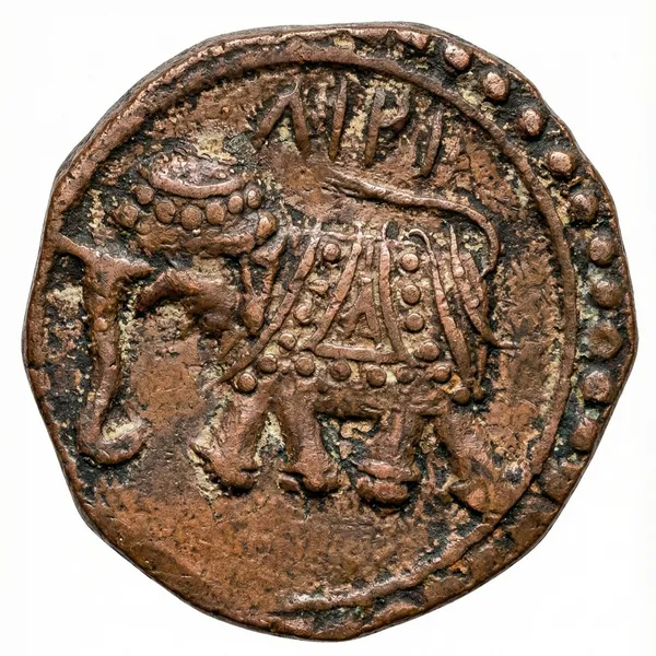 Elephant_Type_1_Ancient_India_Old_Copper_Rare_Coin