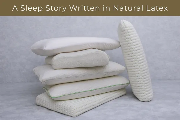 Beige_Natural_Latex_Pillow_Bambo_Cover