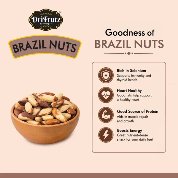 DriFrutz_Brazil_Nuts