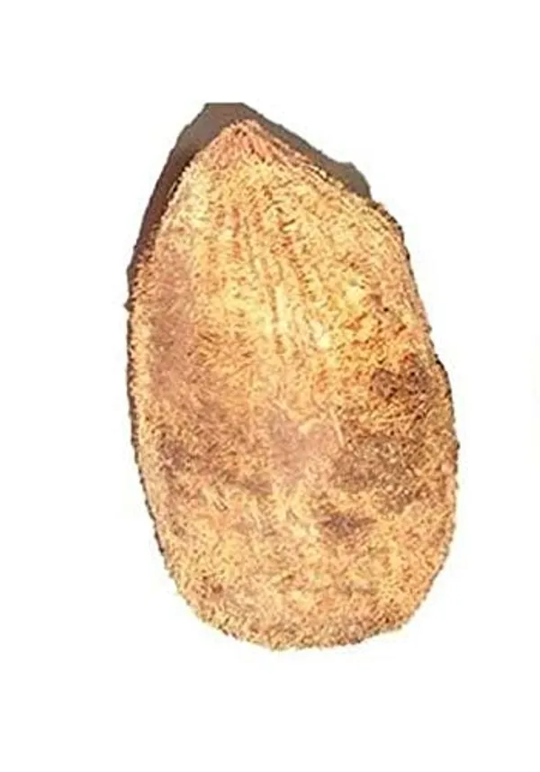Ekakshi_Coconut_For_Pooja
