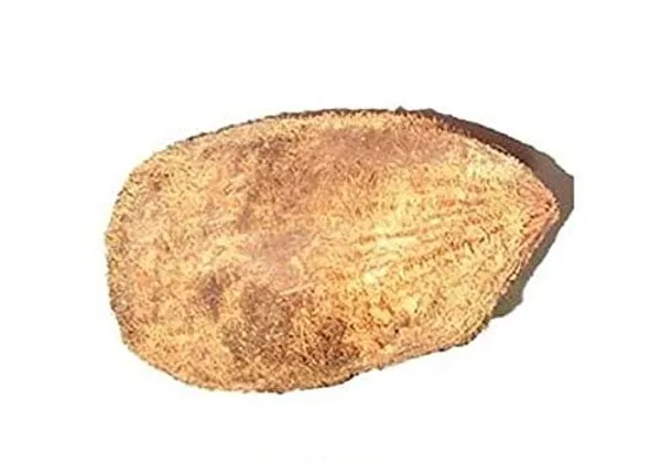 Ekakshi_Coconut_For_Pooja