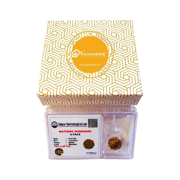 6_Mukhi_Rudraksha_Bead