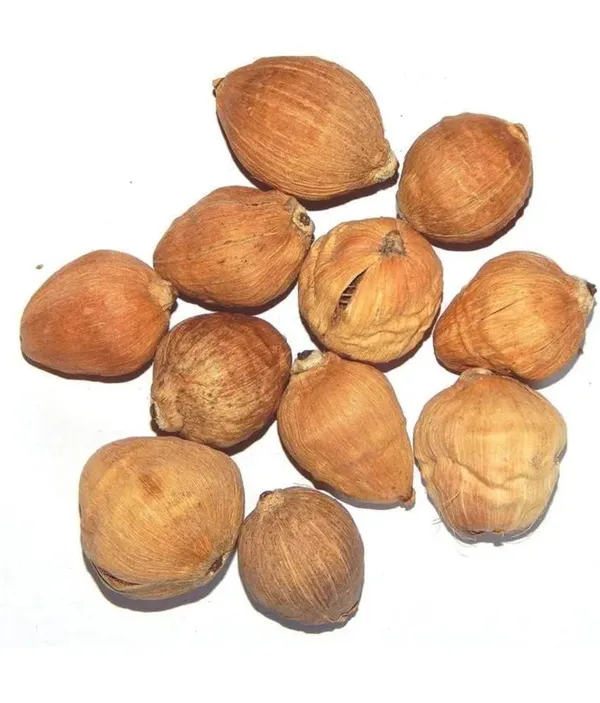 Coconut_For_Pooja