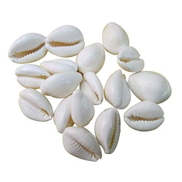 Puja_Essentials_Set