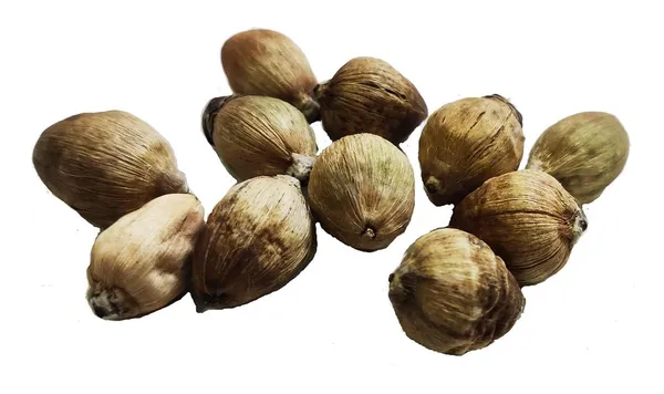 Coconut_For_Pooja