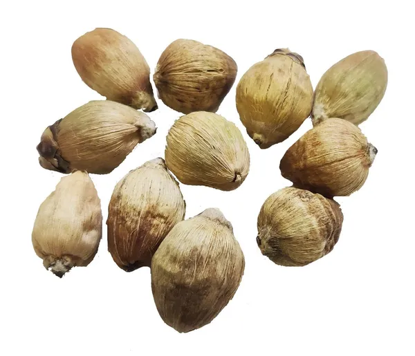 Coconut_For_Pooja