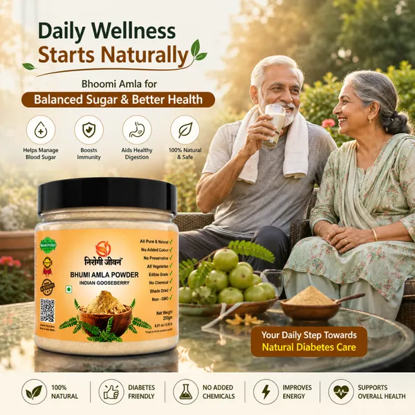 Nirogi_Jeevan™_Bhoomi_Amla_|_All_Pure,_Natural_&_Organic_Grade_|_Edible_,_Daily_Healthy_Drink_|_Detox_|_Health_Care_|_250_Gram_|_Pack_of_01