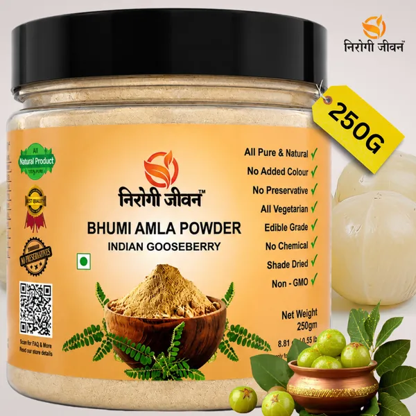 Nirogi_Jeevan™_Bhoomi_Amla_|_All_Pure,_Natural_&_Organic_Grade_|_Edible_,_Daily_Healthy_Drink_|_Detox_|_Health_Care_|_250_Gram_|_Pack_of_01