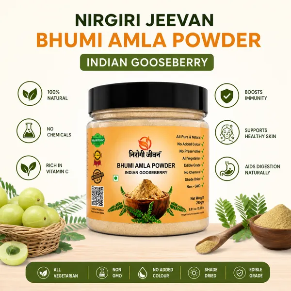 Nirogi_Jeevan™_Bhoomi_Amla_|_All_Pure,_Natural_&_Organic_Grade_|_Edible_,_Daily_Healthy_Drink_|_Detox_|_Health_Care_|_250_Gram_|_Pack_of_01