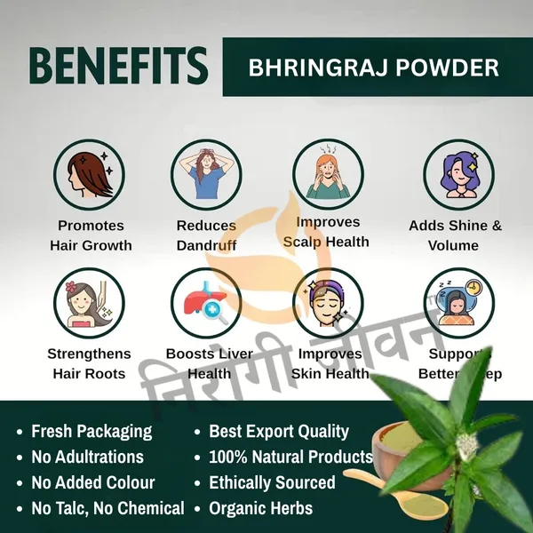 Nirogi_Jeevan™_Bhringraj_Powder_|All_Pure,_Natural_&_Organic_Grade_|Edible_Grade_||For_Natural_Hair_Growth_|_Eclipta_Prostrata_|_100gX2_|_Pack_of_02_|Total_200_gram