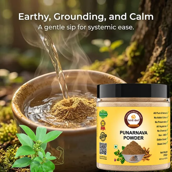 Nirogi_Jeevan™_Punarnava_Root_Powder_|_All_Pure,_Natural_&_Organic_Grade_|_Edible,_Daily_Healthy_Drink_|_Healthy_Eye,_Kidney_&_Liver_|_250gram_|_Pack_of_01