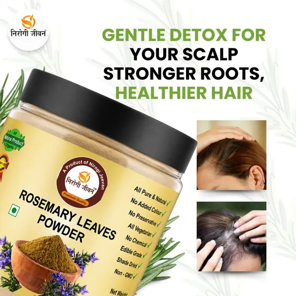Nirogi_Jeevan™_Rosemary_Leaf_Powder|_All_Pure,_Natural_&_Organic_|_Edible_-_Cooking_|_Natural_Hair_Growth_Support|_250g_|_Pack_of_01