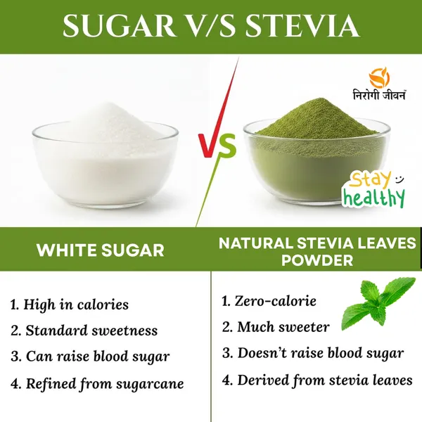 Nirogi_Jeevan™_Stevia_Leaves_Powder_|_All_Pure,_Natural_&_Organic_Grade_|_Healthy_Drink_|_Diabetic_Friendly_|_Healthy_Drink_|_Dry_Green_Leaves_Powder_|250_gram_|_Pack_of_01