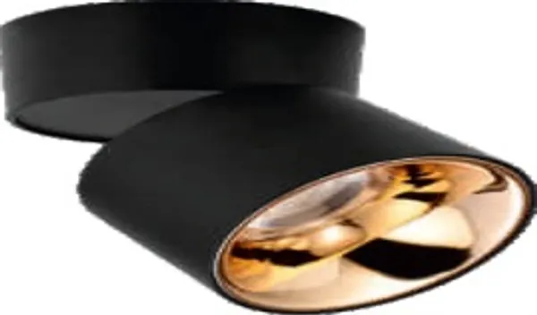 Black_And_Gold_12W_Surface_Cob_Aluminium_Lighting_And_Luminaries_For_Indoor_Purpose