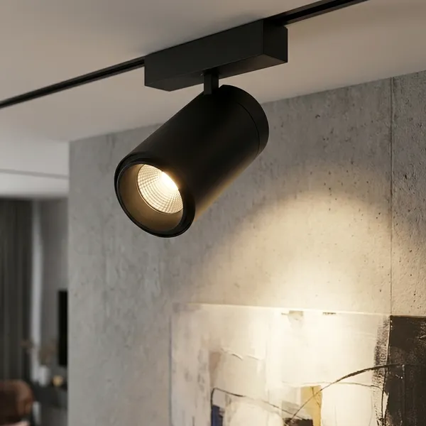 Black_Curve_Shape_Magnetics_Ring_Aluminium_Lighting_And_Luminaries_For_Indoor_Purpose