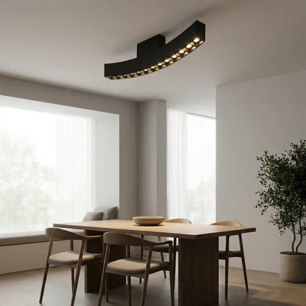 Black_Curve_Shape_Magnetics_Ring_Aluminium_Lighting_And_Luminaries_For_Indoor_Purpose