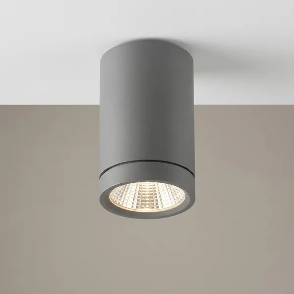 Silver_12W_Adoptable_Cob_Aluminium_Lighting_And_Luminaries_For_Indoor_Purpose