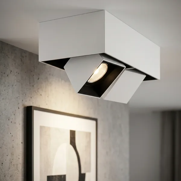 White_And_Black_14W_Surface_Cob_Aluminium_Lighting_And_Luminaries_For_Indoor_Purpose