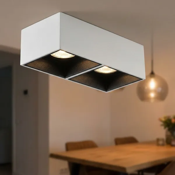 Black_And_Gold_24W_Surface_Cob_Aluminium_Lighting_And_Luminaries_For_Indoor_Purpose