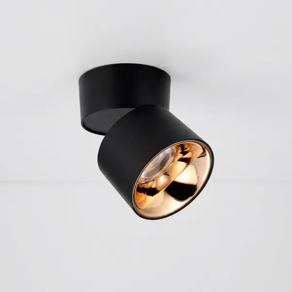 Black_And_Gold_12W_Surface_Cob_Aluminium_Lighting_And_Luminaries_For_Indoor_Purpose