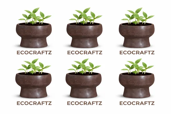 Coffee_Coco_Eco_Friendly_Premium_Husk_Planter_Brew_Pot(440ml)