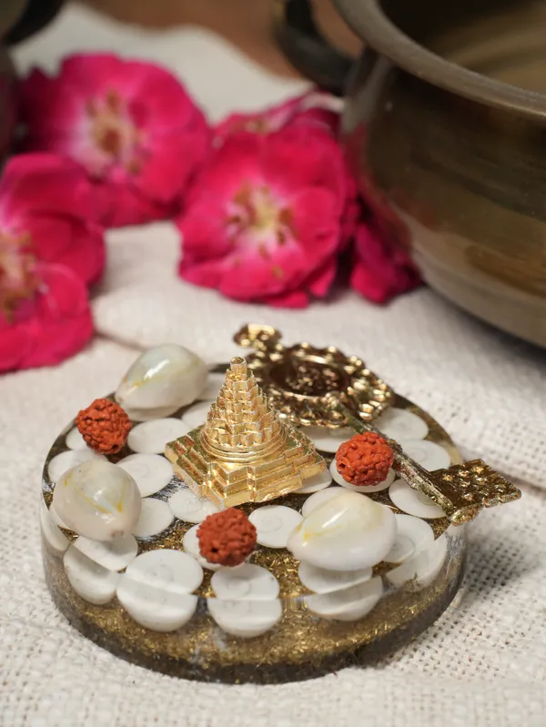 Shree_Gomti_Chakra_Healing_Plate