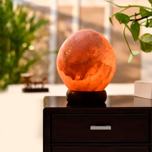 Natural_Salt_Globe_Lamp