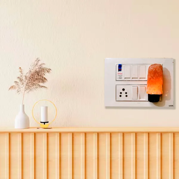 Natural_salt_Plug_Lamp