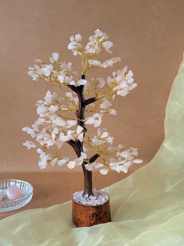 Lumiere_Gift_Set