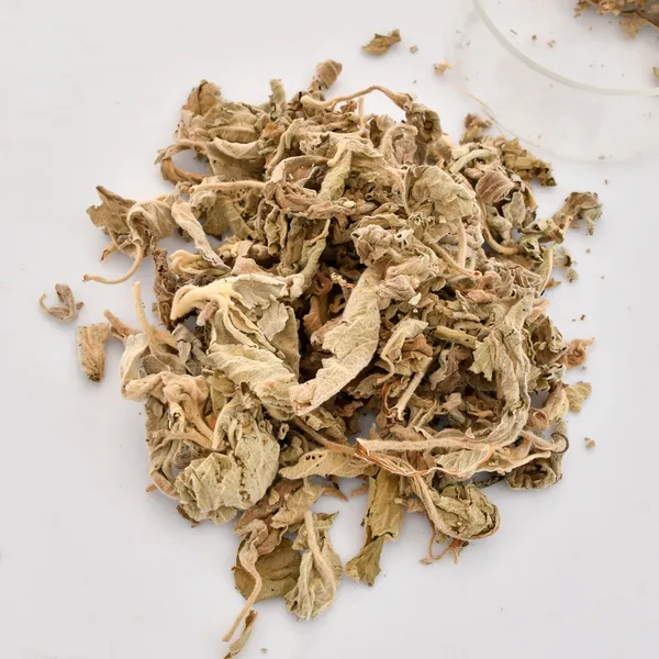 Natural_Herb_Sage