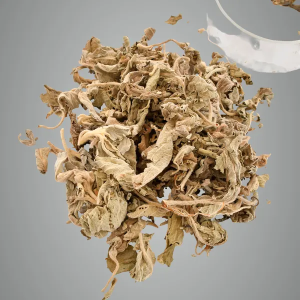 Natural_Herb_Sage
