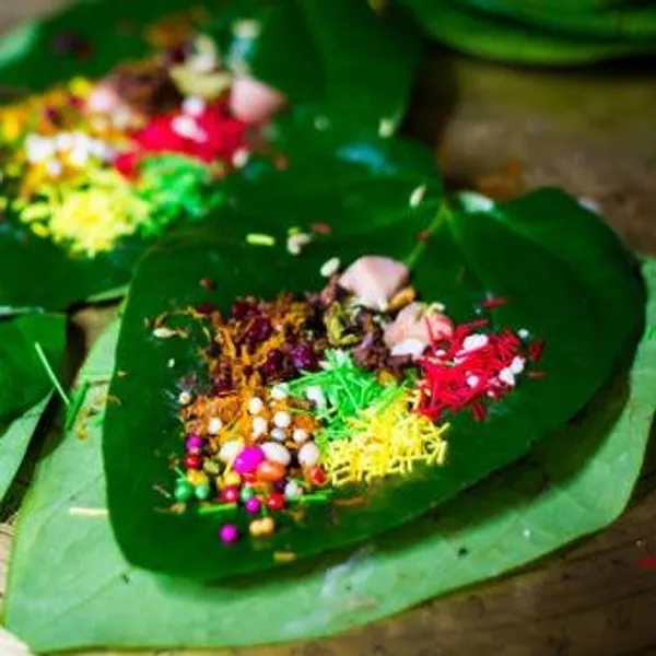 Maghai_Betel_Leaf_Plant_Maghai_Paan