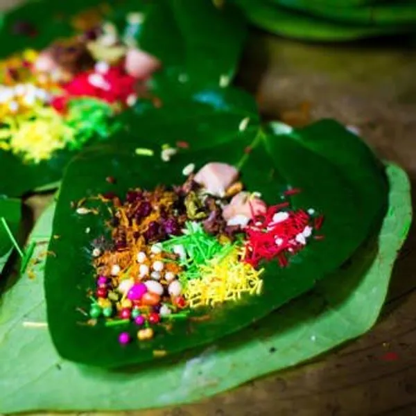Indian_Betel_Leaf_Plant