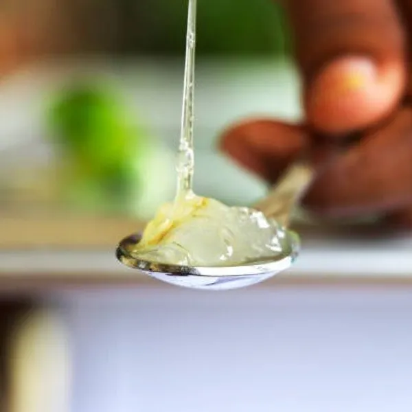 Aloe_Vera_Mediclinal_Live__Plant