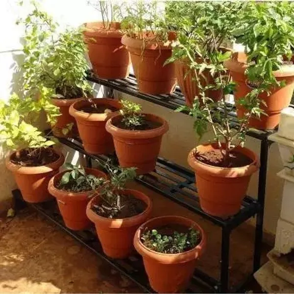 9''_Plastic_Pots_Pack_Of_5