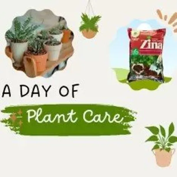 Zinna_Organic_Vermi_Compost_(Pack_of_1_Kg)